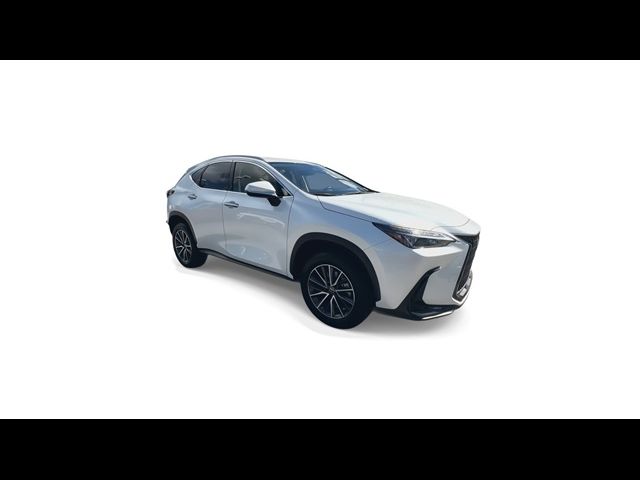 2023 Lexus NX 250