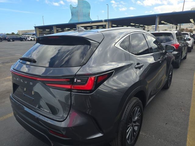 2023 Lexus NX 250