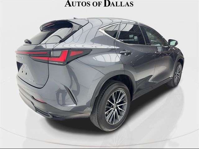 2023 Lexus NX 250