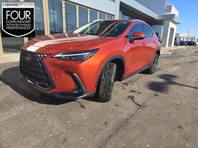 2023 Lexus NX 250 Premium