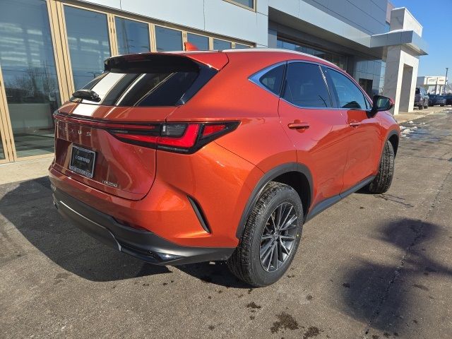 2023 Lexus NX 250