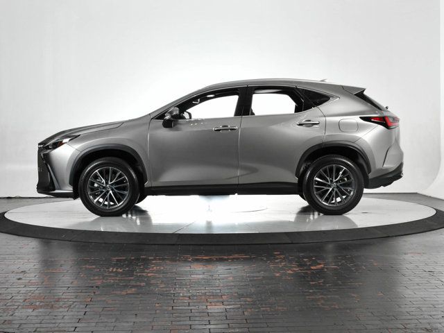 2023 Lexus NX 250 Premium