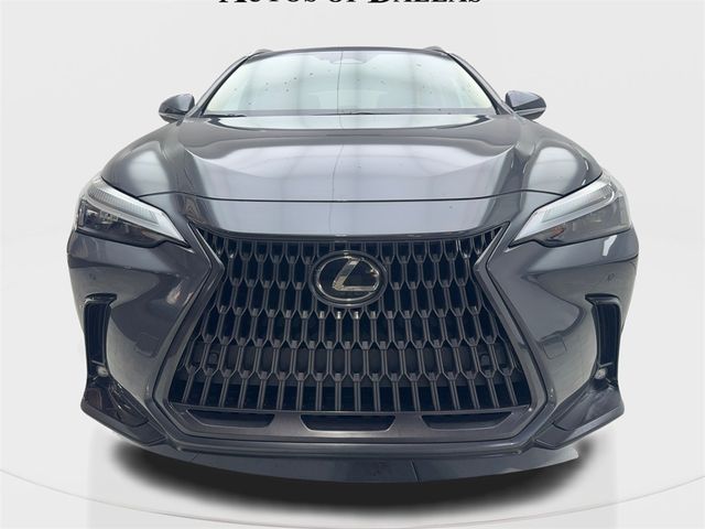 2023 Lexus NX 250 Premium