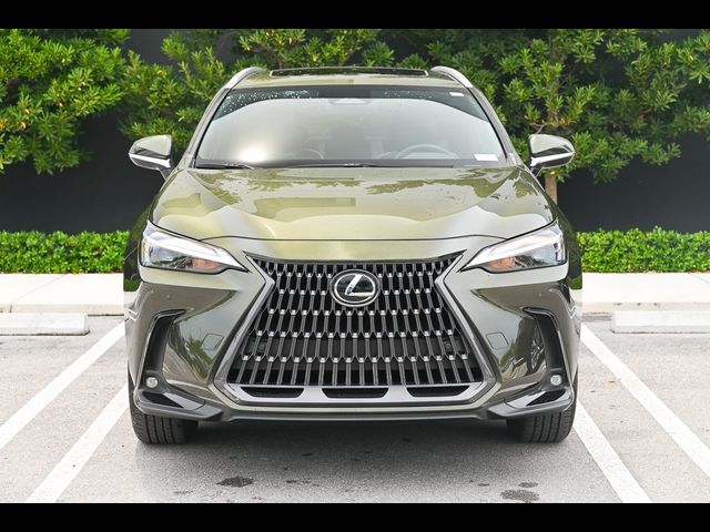 2023 Lexus NX 250 Premium