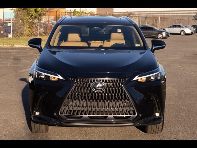 2023 Lexus NX 250 Premium