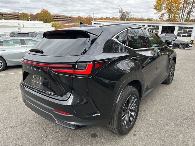 2023 Lexus NX 250 Premium