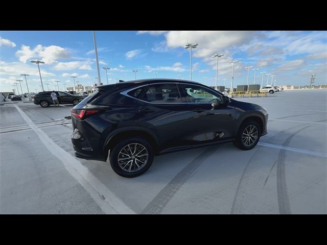 2023 Lexus NX 250 Premium