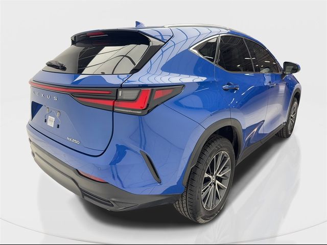 2023 Lexus NX 250