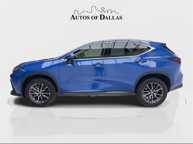 2023 Lexus NX 250