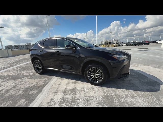 2023 Lexus NX 250