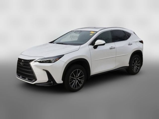 2023 Lexus NX 250 Premium