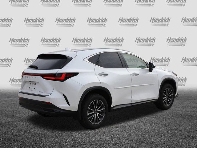 2023 Lexus NX 250 Premium