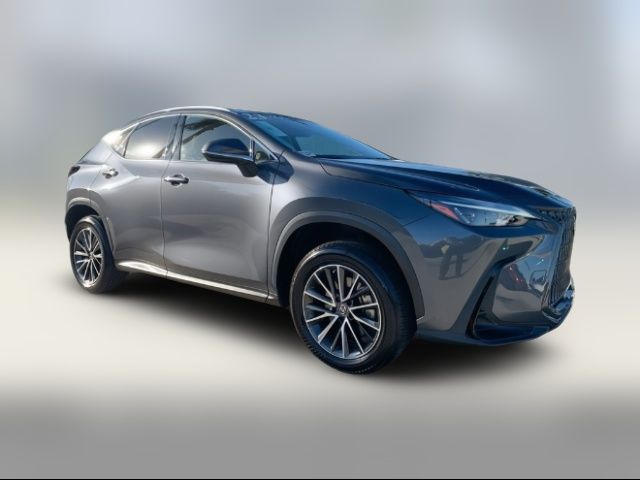 2023 Lexus NX 250 Premium