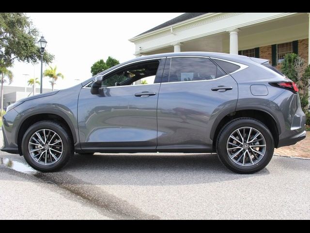 2023 Lexus NX 250 Premium