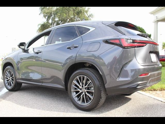 2023 Lexus NX 250 Premium