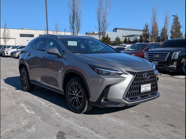 2023 Lexus NX 350