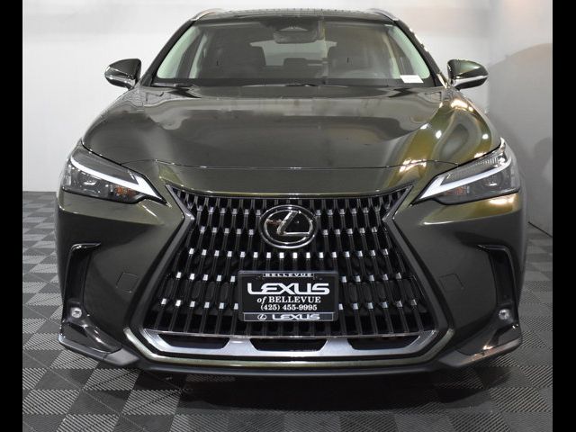 2023 Lexus NX 350