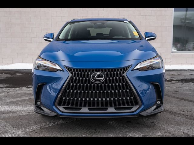 2023 Lexus NX 350