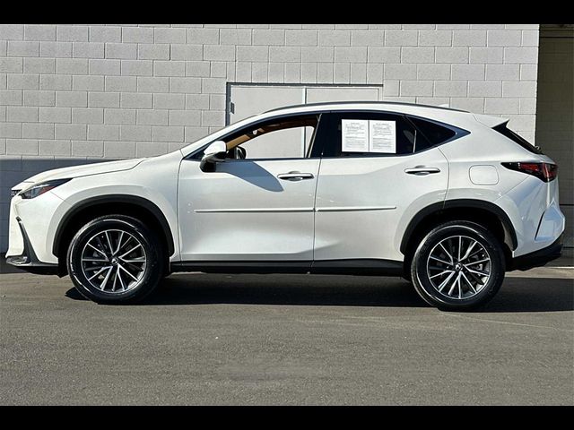 2023 Lexus NX 350