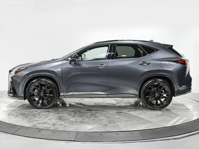 2023 Lexus NX 350