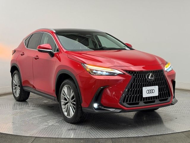 2023 Lexus NX 350 Luxury