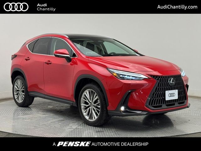 2023 Lexus NX 350 Luxury