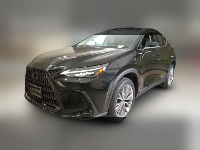 2023 Lexus NX 350 Luxury