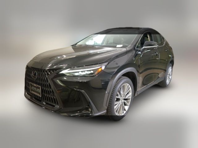 2023 Lexus NX 350 Luxury