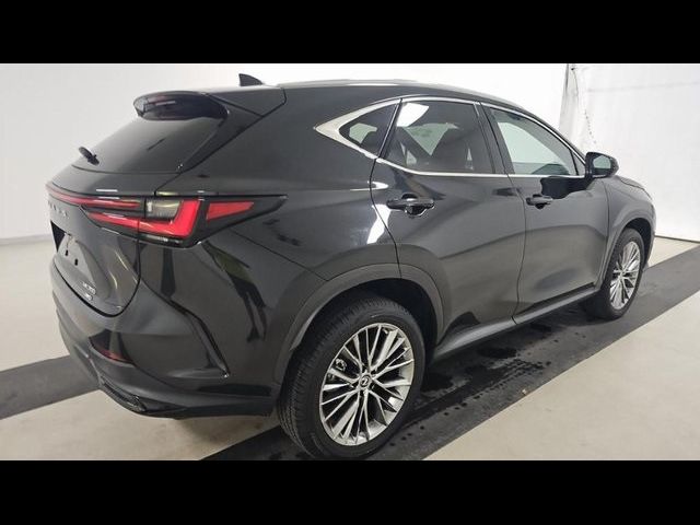 2023 Lexus NX 350 Luxury