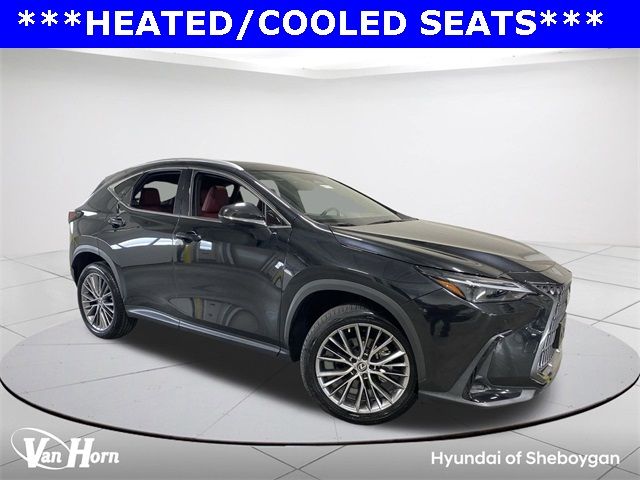 2023 Lexus NX 350 Luxury