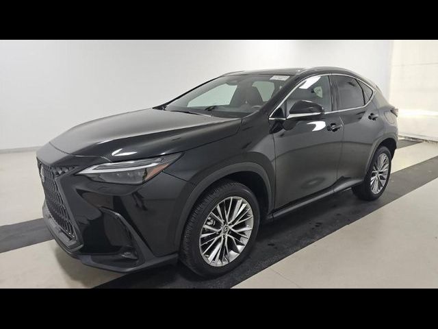 2023 Lexus NX 350 Luxury