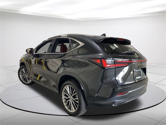 2023 Lexus NX 350 Luxury