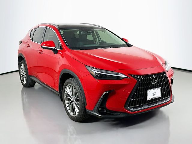 2023 Lexus NX 350 Luxury