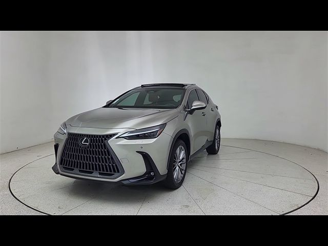 2023 Lexus NX 350 Luxury