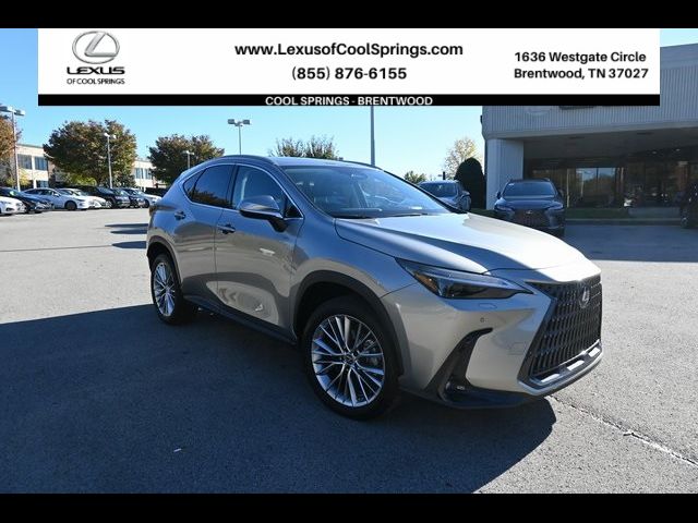 2023 Lexus NX 350 Luxury