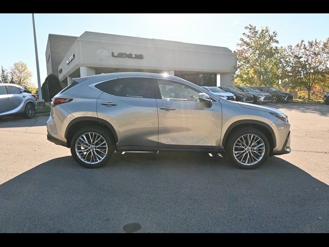 2023 Lexus NX 350 Luxury