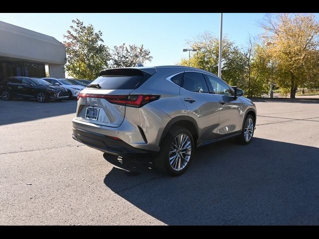 2023 Lexus NX 350 Luxury