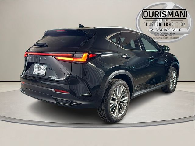 2023 Lexus NX 350 Luxury