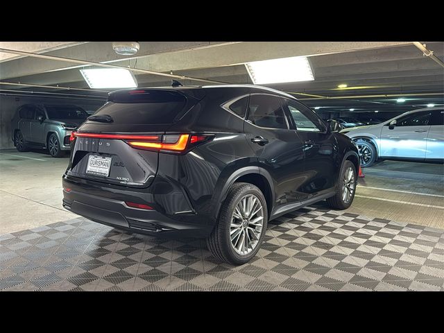2023 Lexus NX 350 Luxury