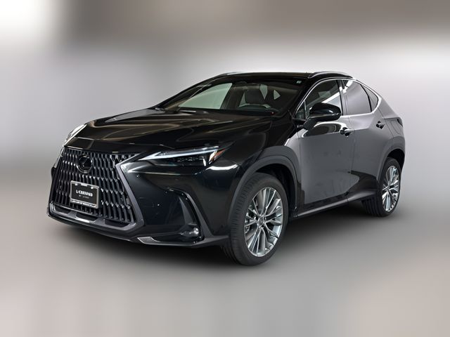 2023 Lexus NX 350 Luxury