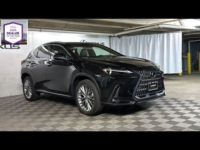 2023 Lexus NX 350 Luxury