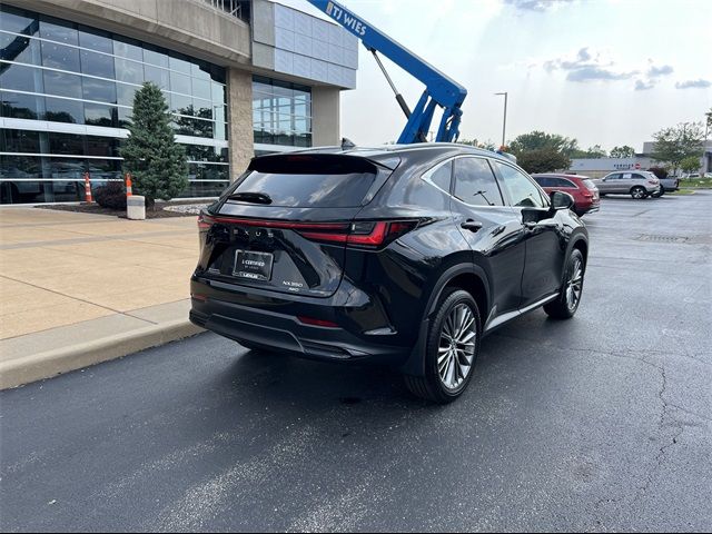 2023 Lexus NX 350 Luxury