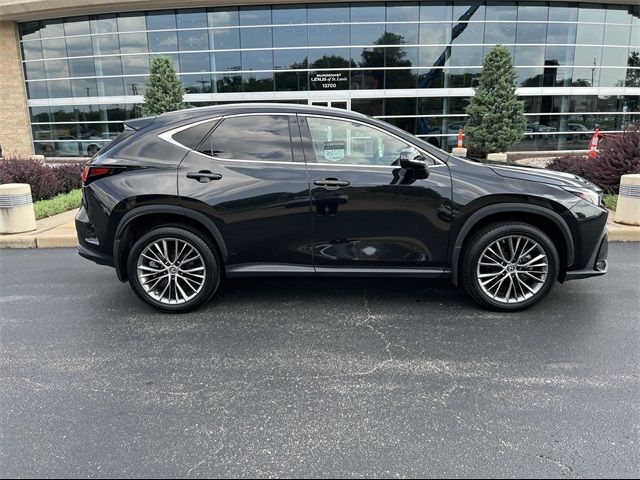 2023 Lexus NX 350 Luxury