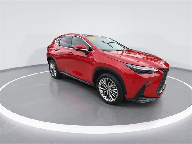 2023 Lexus NX 350 Luxury