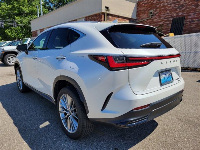 2023 Lexus NX 350 Luxury