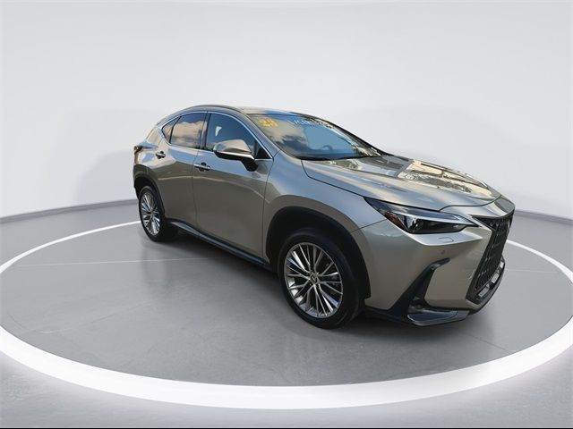 2023 Lexus NX 350 Luxury