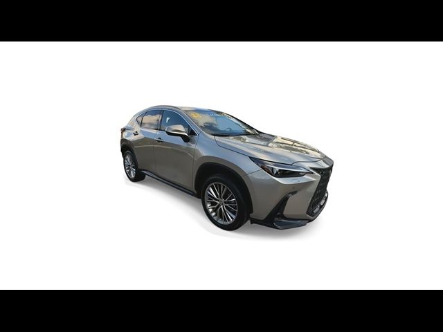 2023 Lexus NX 350 Luxury