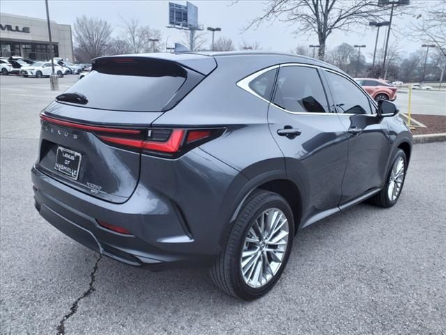 2023 Lexus NX 350 Luxury