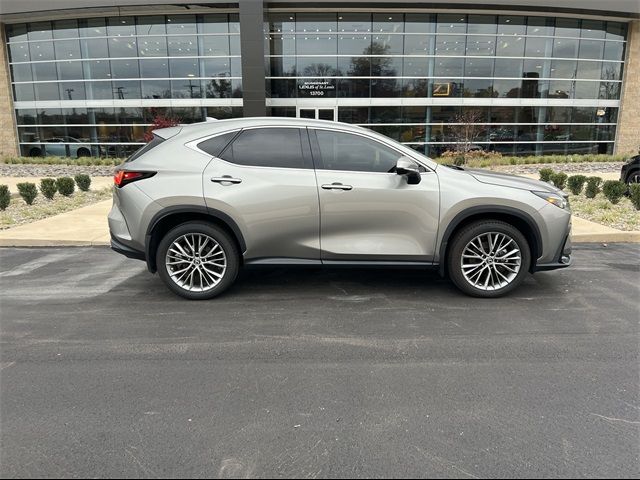 2023 Lexus NX 350 Luxury