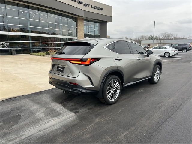 2023 Lexus NX 350 Luxury